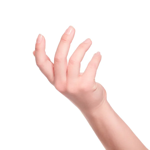 Mulher mão no fundo branco — Fotografia de Stock