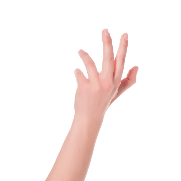 Kadın eli beyaz arkaplanda — Stok fotoğraf