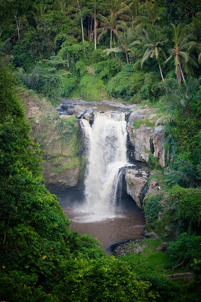 Waterval in tropisch woud in bali — Stockfoto