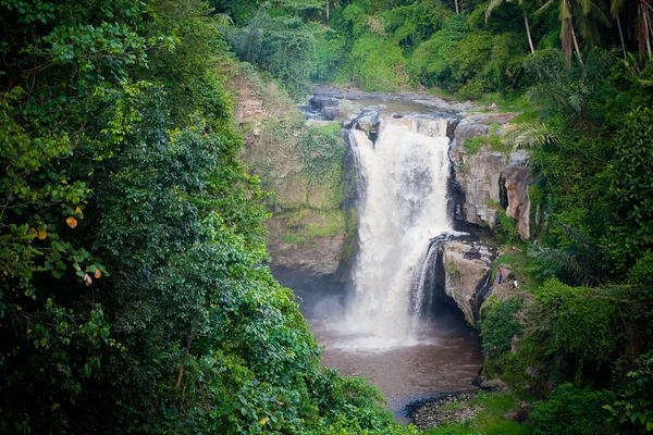 Waterfall in tropical forest in Bali — Stock Photo, Image