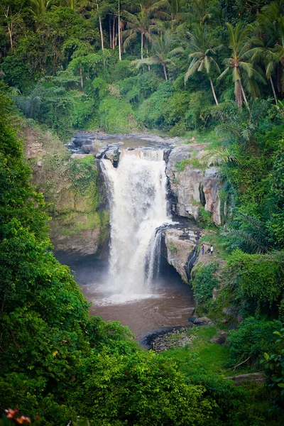 Waterval in tropisch woud in bali — Stockfoto