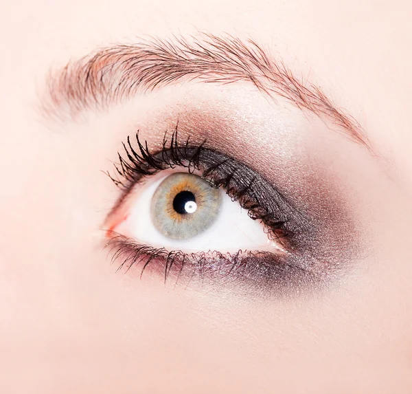 Woman eye with beautiful makeup Stock Picture