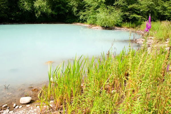 The unique turbid lake — Stock Photo, Image