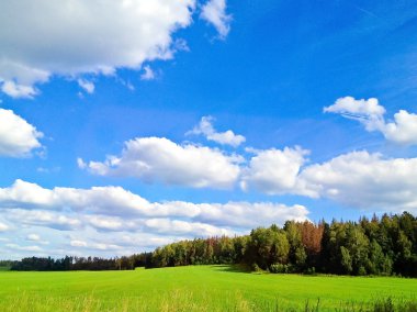 güzel gökyüzü ve alanları ile peyzaj