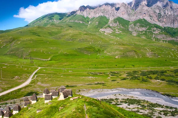 Schöne Aussicht auf den Gebirgsfluss im Sommer — Stockfoto