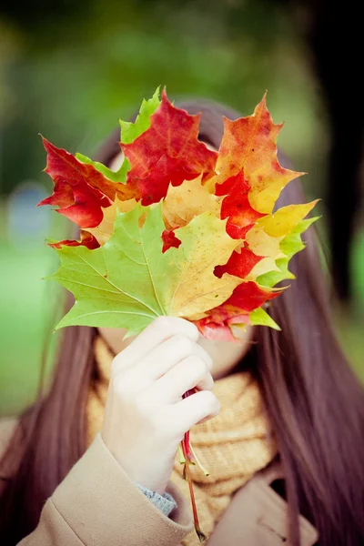 Chica cubre cara otoño hojas Fotos de stock libres de derechos