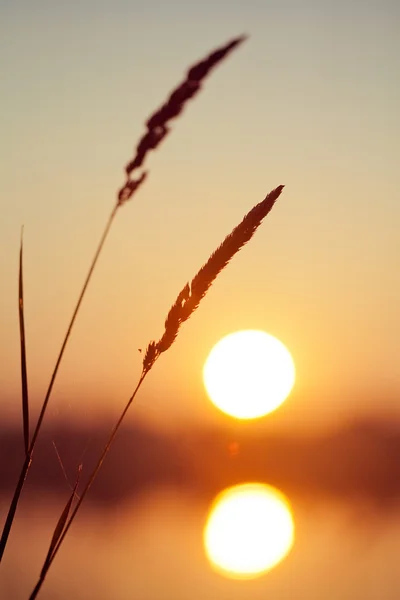 Hermosa puesta de sol —  Fotos de Stock