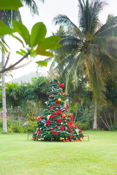 Christmas Tree On Beautiful Tropical Background — Stock Photo, Image