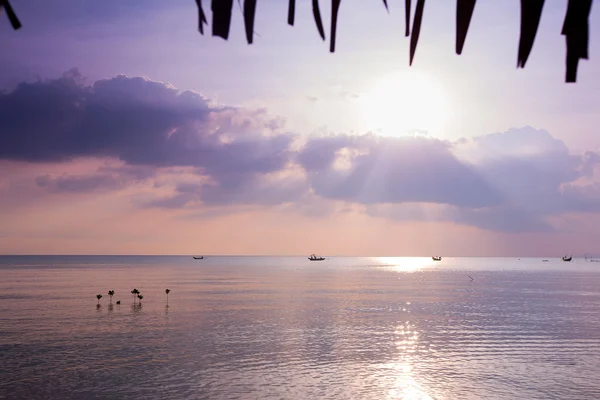 Coucher de soleil tropical sur la plage — Photo