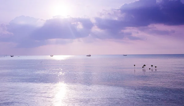 Tropischer Sonnenuntergang am Strand — Stockfoto