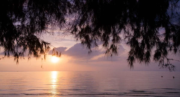 Tropische zonsondergang op het strand — Stockfoto