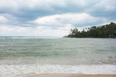 ko ma tropikal plaj