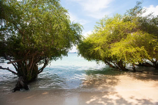 Pintoresco paisaje marino — Foto de Stock