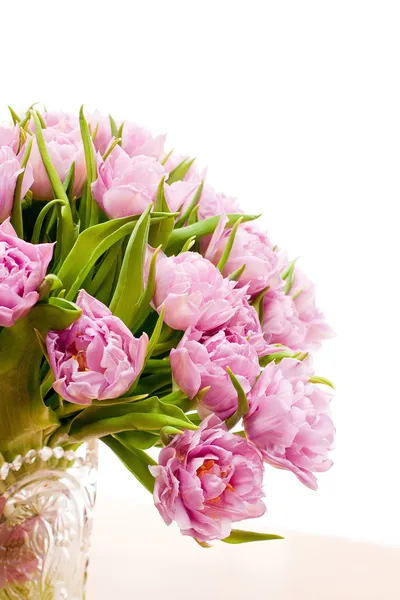 Schöne lila Tulpen — Stockfoto