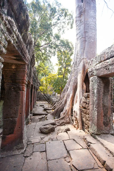 Banteay Kdei a Siem reap, Cambogia — Foto Stock