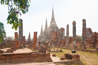 wat phra si ayutthaya, Tayland sanphet görünümünü