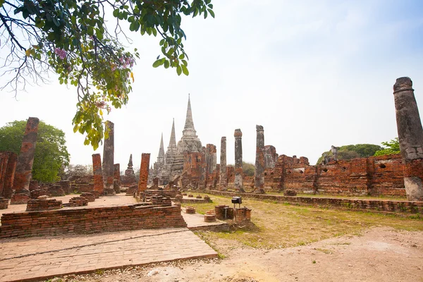 Widok wat phra si sanphet w ayutthaya, Tajlandia — Zdjęcie stockowe