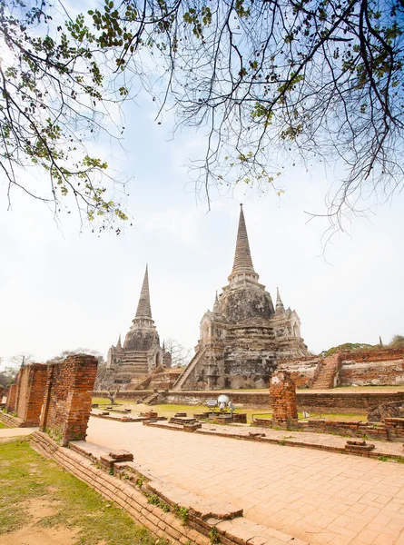 Widok wat phra si sanphet w ayutthaya, Tajlandia — Zdjęcie stockowe