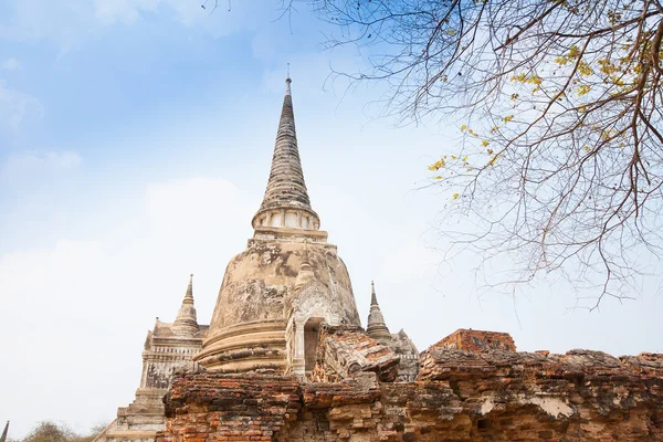 Widok wat phra si sanphet w ayutthaya, Tajlandia — Zdjęcie stockowe