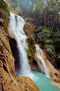 Laos derin orman kuangsi şelale