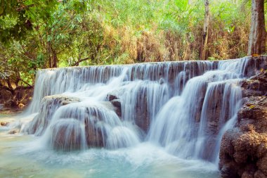 Laos derin orman kuangsi şelale