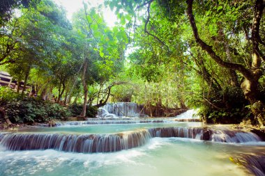 Laos derin orman kuangsi şelale