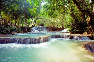 Laos derin orman kuangsi şelale