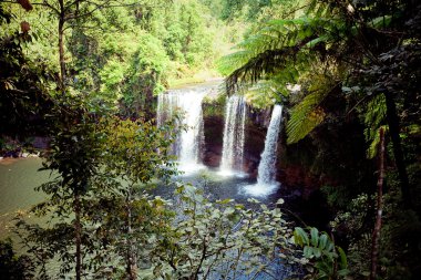 Laos derin orman içinde güzel bir şelale