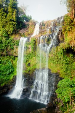 Tad yaung şelale, champasak laos