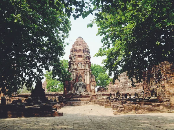 Świątynia wat mahathat w zabytkowym parku ayutthaya — Zdjęcie stockowe