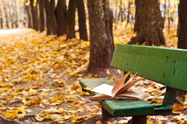 Vecchio libro sulla panchina nel parco autunnale — Foto Stock