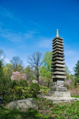 Japon bahçesinde bahar