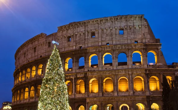 Kerstboom in coliseum in de nacht — Stockfoto