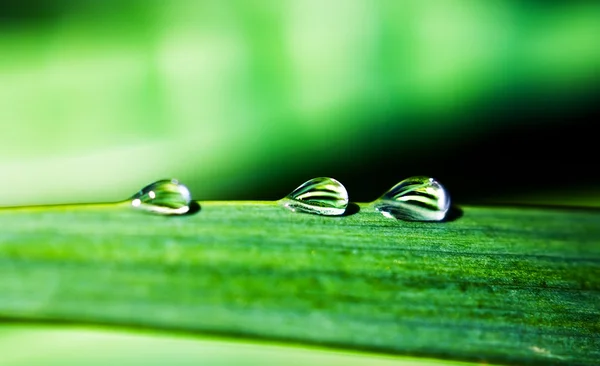 Three droplets — Stock Photo, Image