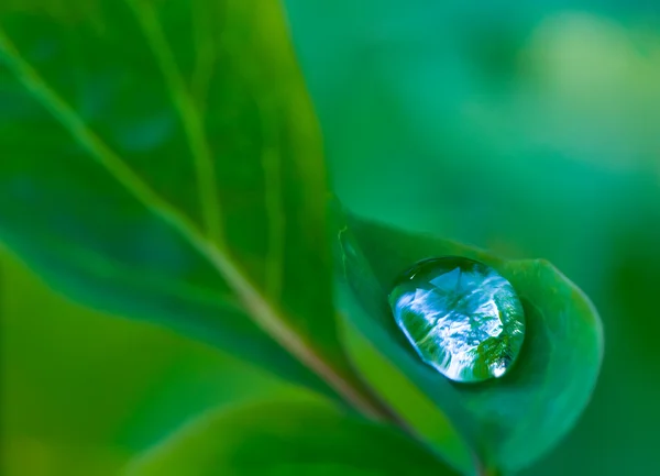 Big water drop — Stock Photo, Image