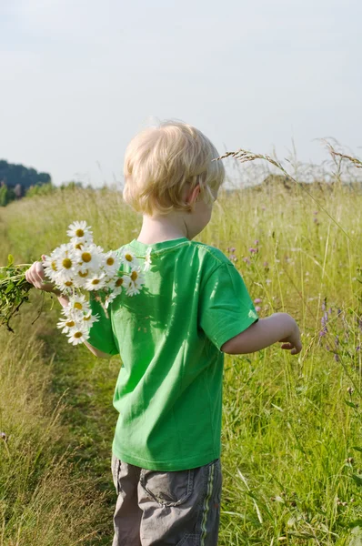 Junge mit Gänseblümchen — Stockfoto