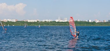 windsurfing in the city