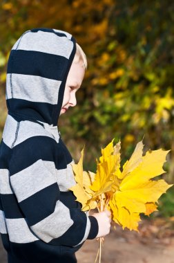 Sarı yaprakları ile genç çocuk
