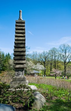 Japon bahçesinde bahar