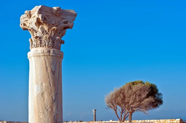 Colonne antique classique à Kourion, Chypre — Photo