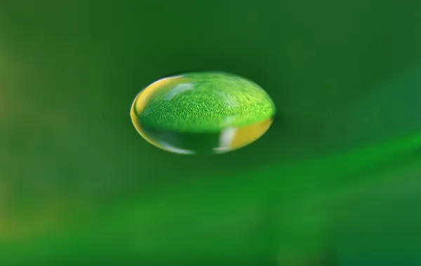 Gota de água no verde — Fotografia de Stock