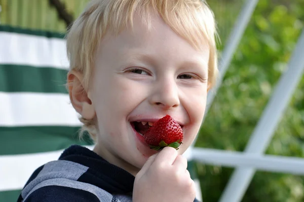 Garçon manger de la fraise — Photo