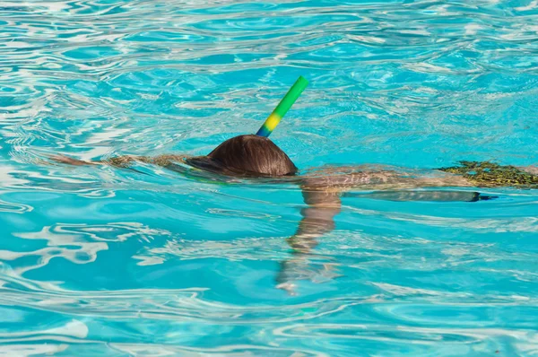 Jeune garçon plongée avec tuba — Photo
