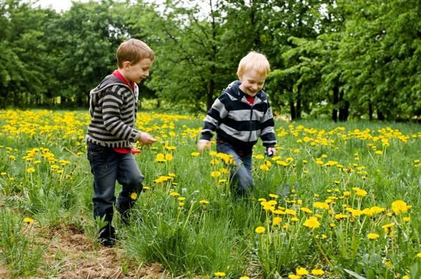 Two boys running in dandelion meadow — Stock Photo, Image