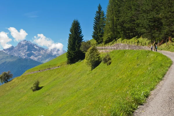 Familie wandert auf Bergpfad, schweizerisch, wiesen — Stockfoto