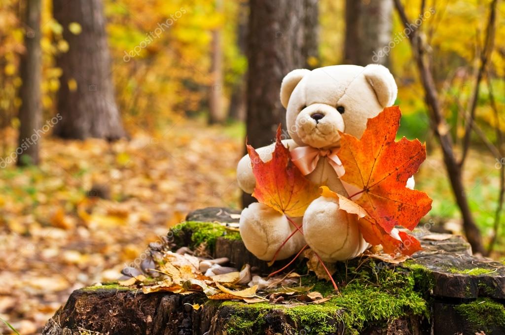 Teddy bear in autumn park Stock Photo by ©syaochka 12862073