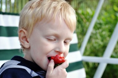 çilek yeme çocuk
