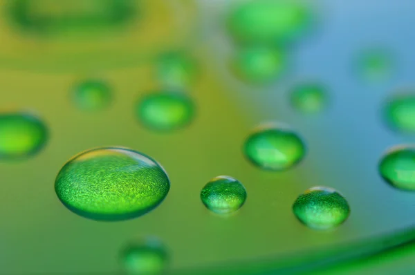 Wassertropfen auf Grün — Stockfoto