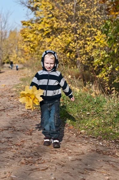 Sarı yaprakları ile genç çocuk — Stok fotoğraf