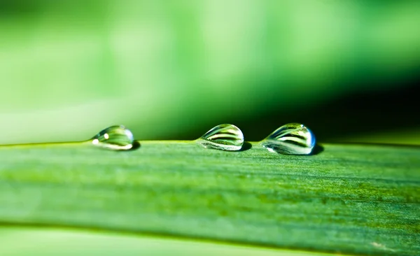 Three droplets — Stock Photo, Image